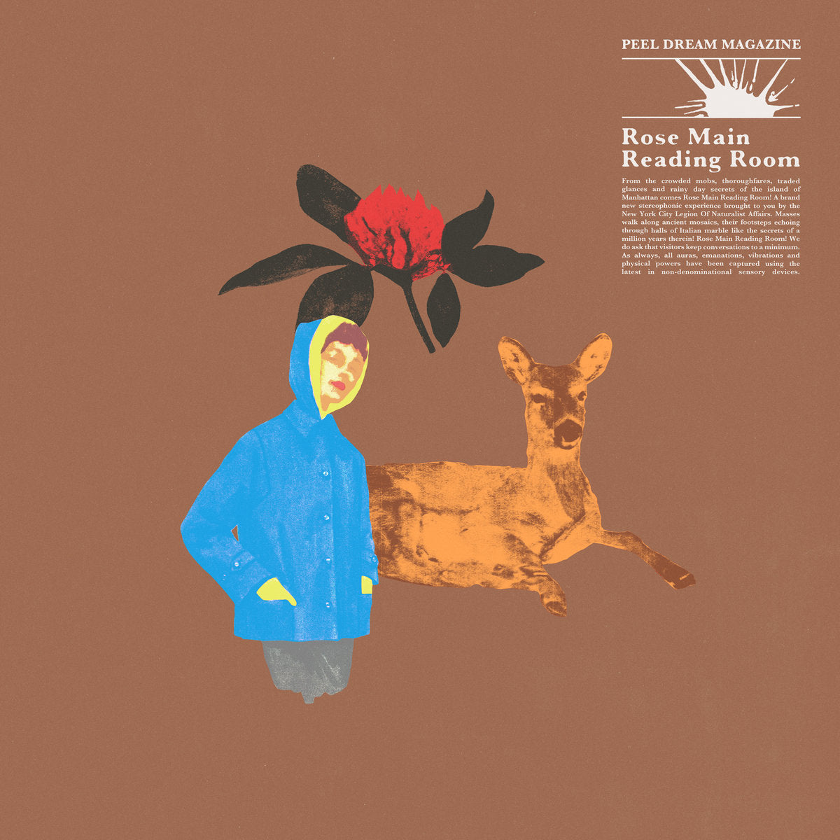 PEEL DREAM MAGAZINE -  Rose Main Reading Room (Vinyle)