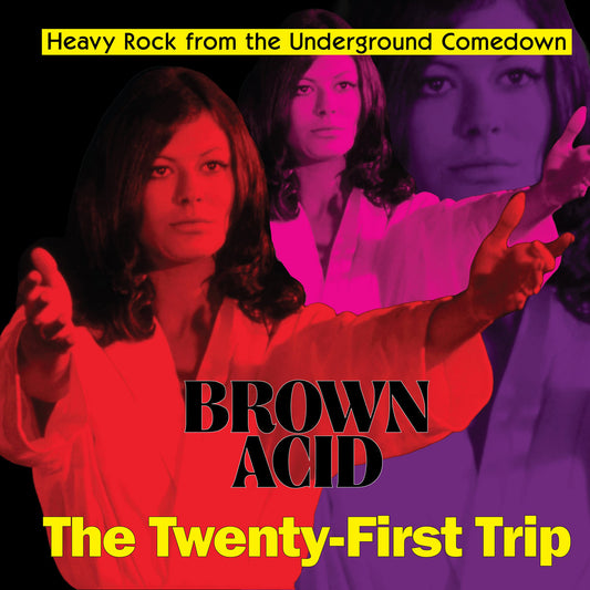 ARTISTES VARIÉS - Brown Acid "The Twenty-First Trip" (Vinyle)