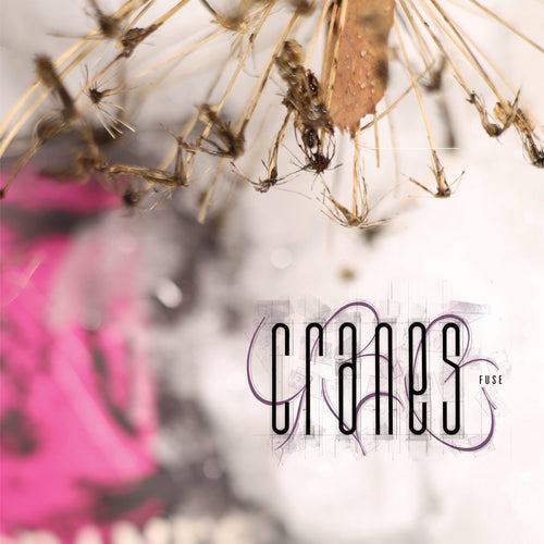 CRANES - Fuse (Vinyle)