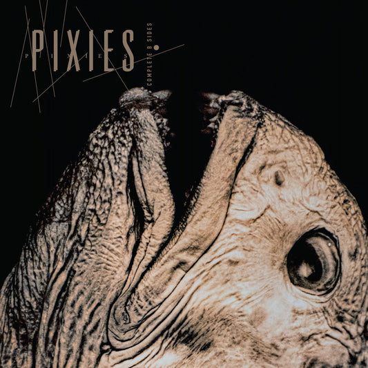 PIXIES - 	Complete B Sides: 1988-97 (Vinyle)