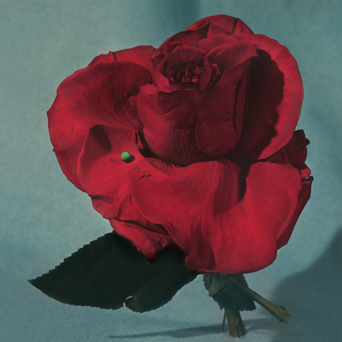 METZ - Up On Gravity Hill (Vinyle)
