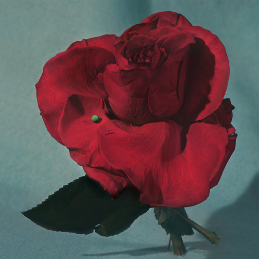 METZ - Up On Gravity Hill (Vinyle)