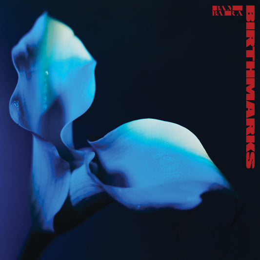 BAMBARA - Birthmarks (Vinyle)