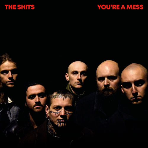 THE SHITS - You're A Mess (Vinyle)
