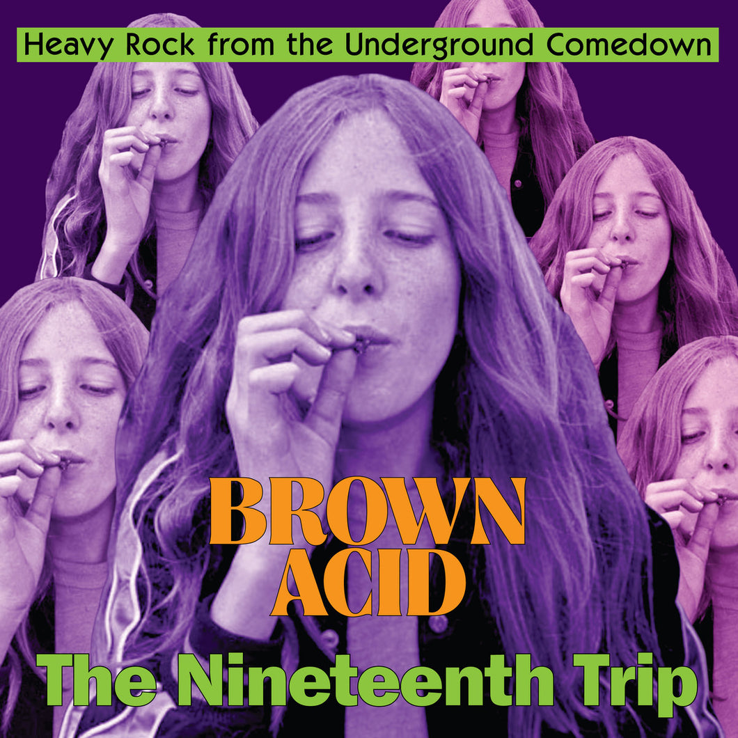 ARTISTES VARIÉS - Brown Acid: The Nineteenth Trip (Heavy Rock From The Underground Comedown) (Vinyle)