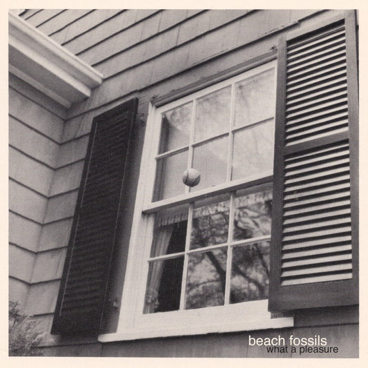 BEACH FOSSILS - What A Pleasure (Vinyle)