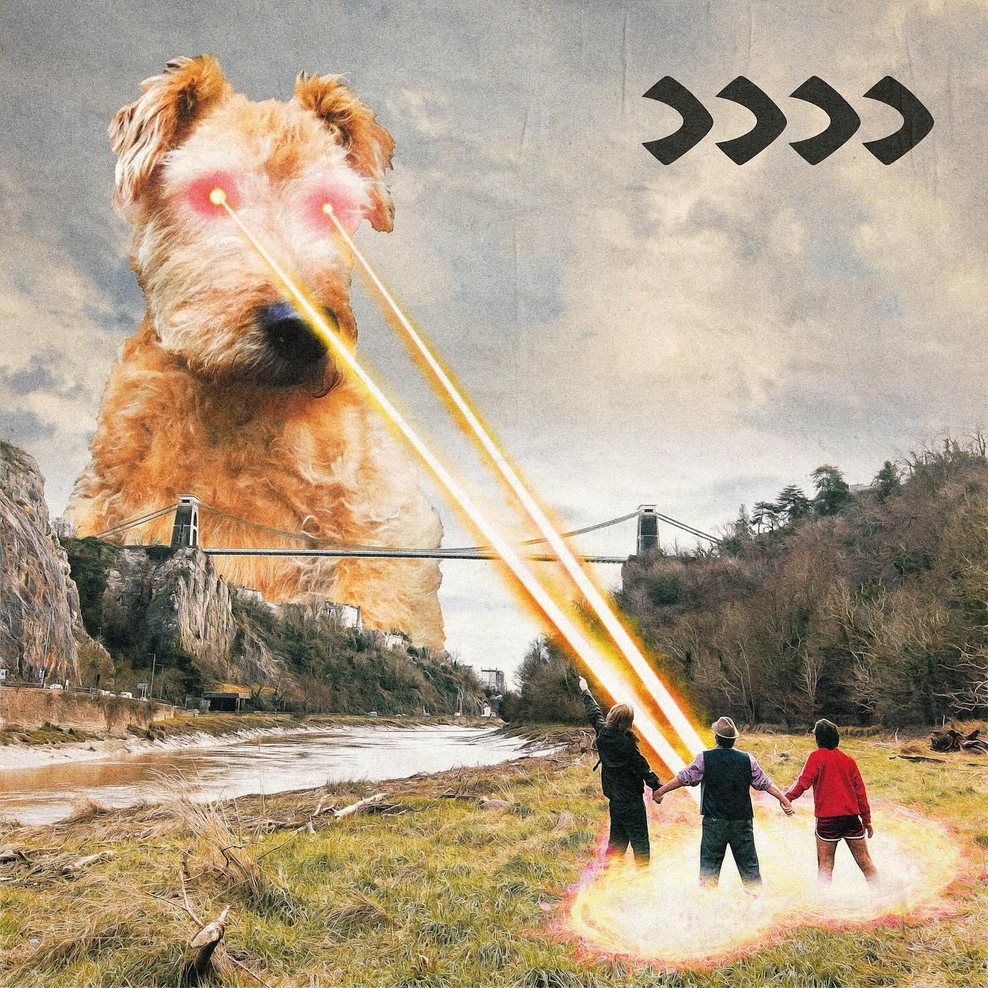 BEAK> - >>>> (Vinyle)