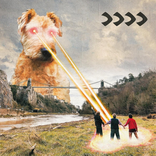 BEAK> - >>>> (Vinyle)