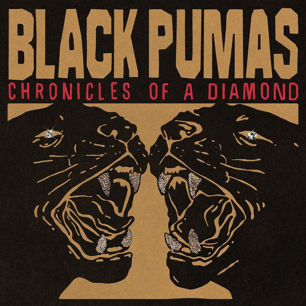 BLACK PUMAS - Chronicles of a Diamond (Vinyle)