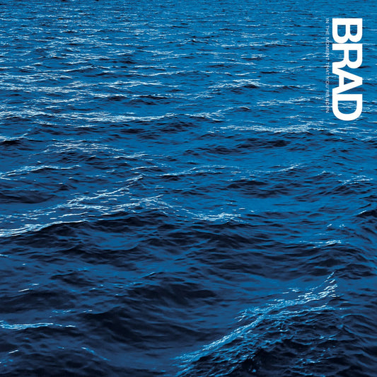 BRAD - In The Moment That You're Born (Vinyle)