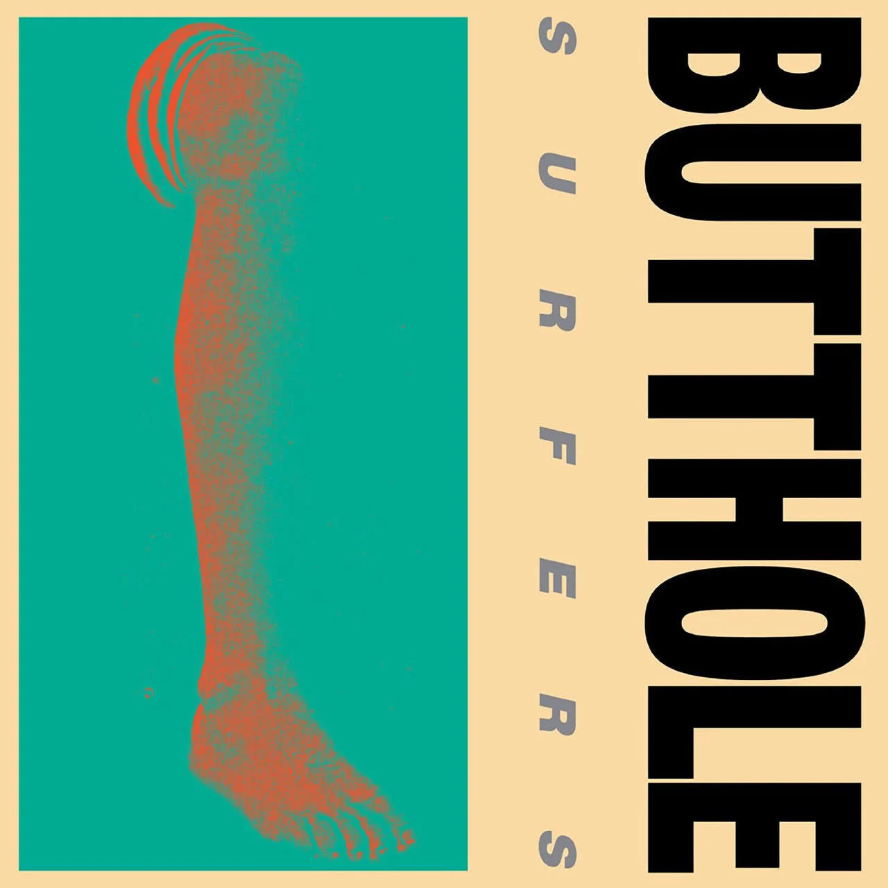 BUTTHOLE SURFERS - Rembrandt Pussyhorse (Vinyle)