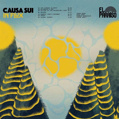 CAUSA SUI - In Flux (Vinyle 10'')