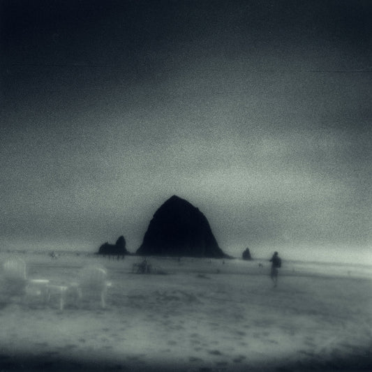DROWSE - Wane Into It (Vinyle)