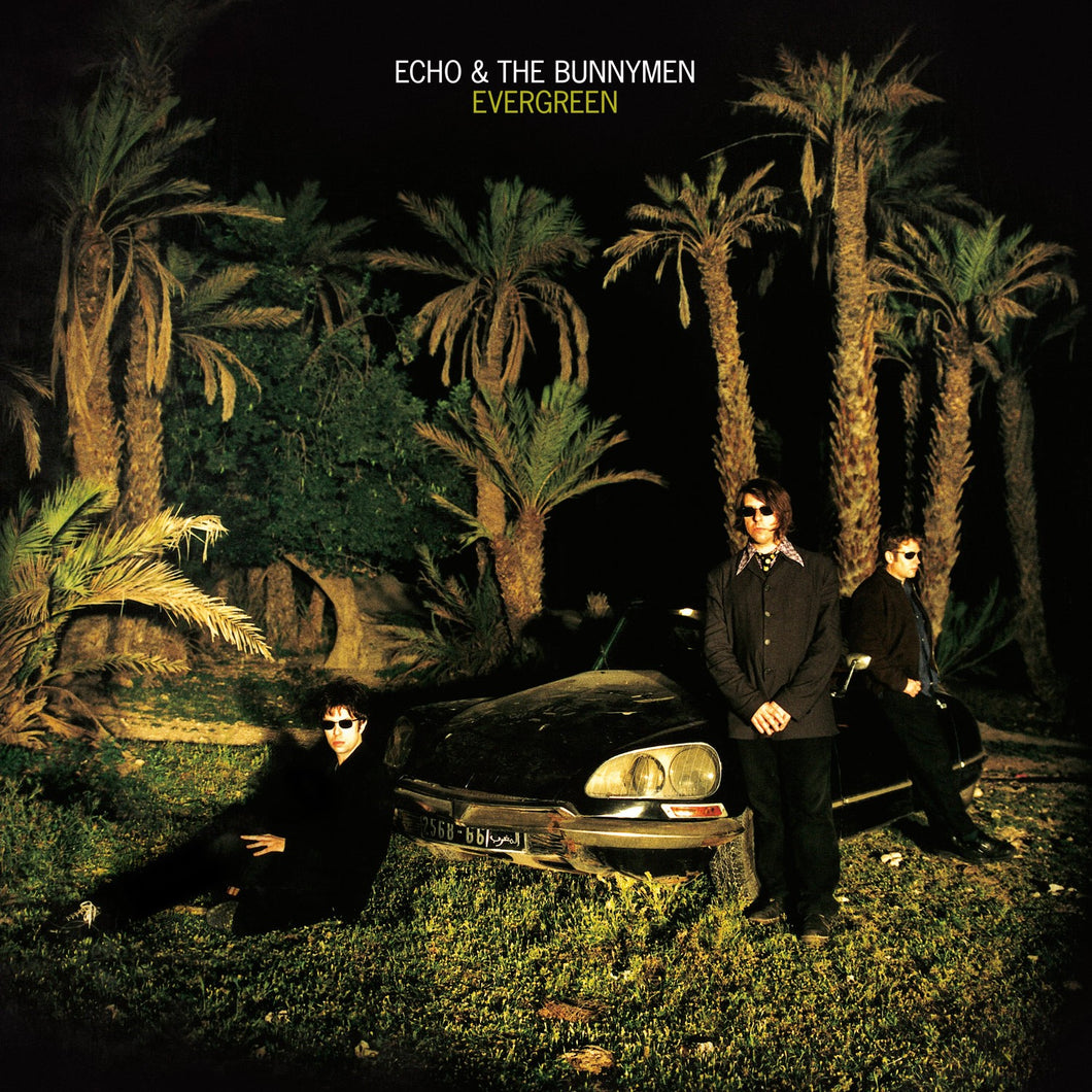 ECHO & THE BUNNYMEN - Evergreen (Vinyle)