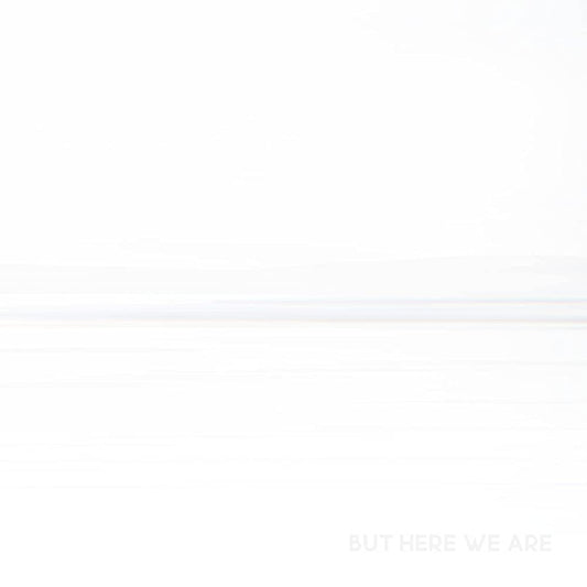 FOO FIGHTERS - But Here We Are (Vinyle)