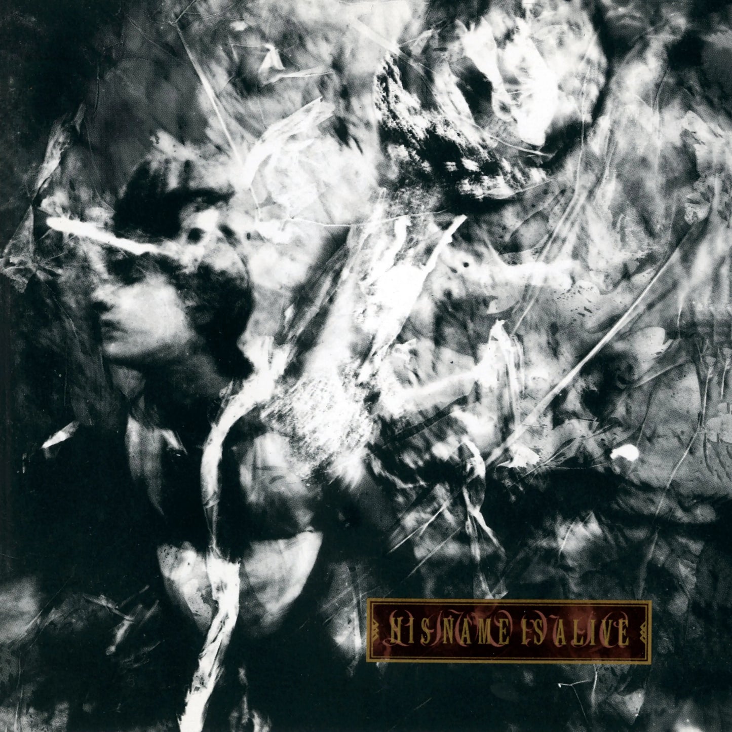 HIS NAME IS ALIVE - Livonia (Vinyle)