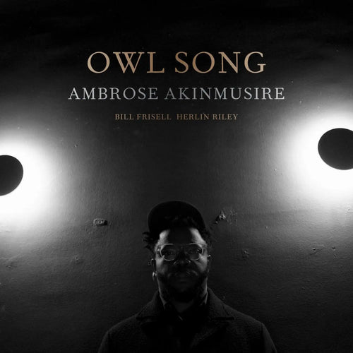 AMBROSE AKINMUSIRE - Owl Song (Vinyle)