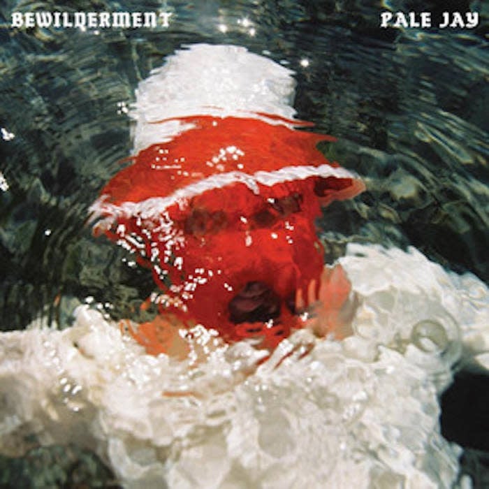 PALE JAY - Bewilderment (Vinyle)