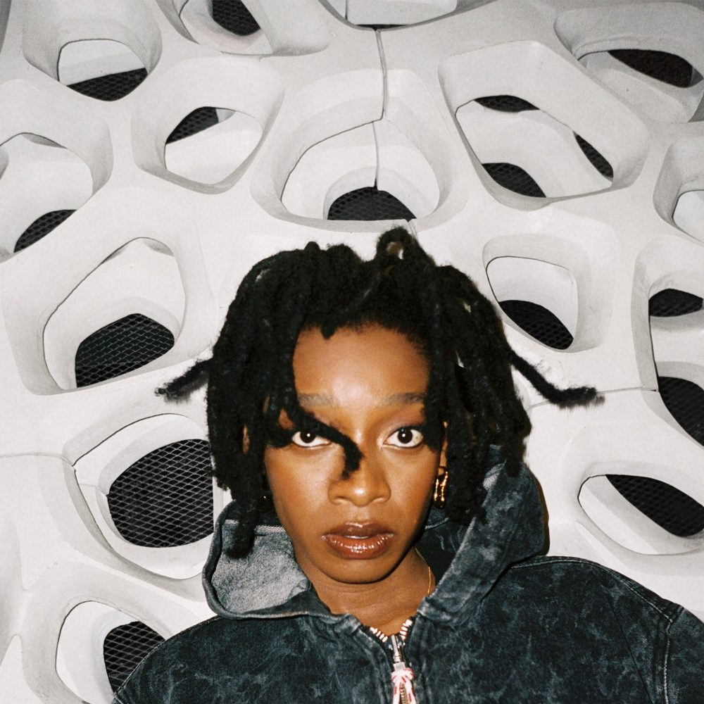 LITTLE SIMZ - No Thank You (Vinyle)
