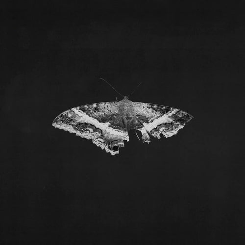 KENDRICK LAMAR - To Pimp A Butterfly (10 Year Anniversary Edition) (Vinyle)
