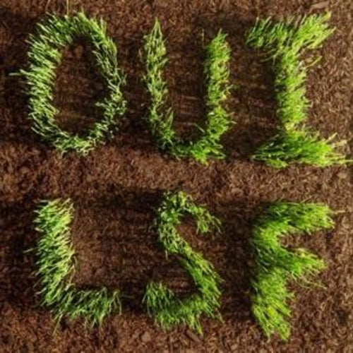 LES SAVY FAV - OUI, LSF (Vinyle)
