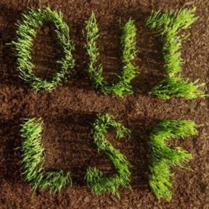 LES SAVY FAV - OUI, LSF (Vinyle)