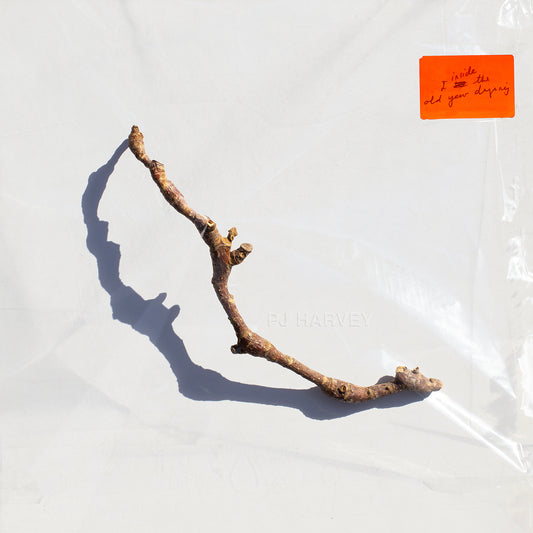 PJ HARVEY - I Inside the Old Year Dying (Vinyle)