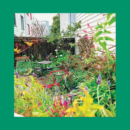 THE REDS, PINKS & PURPLES - Unwishing Well (Vinyle)
