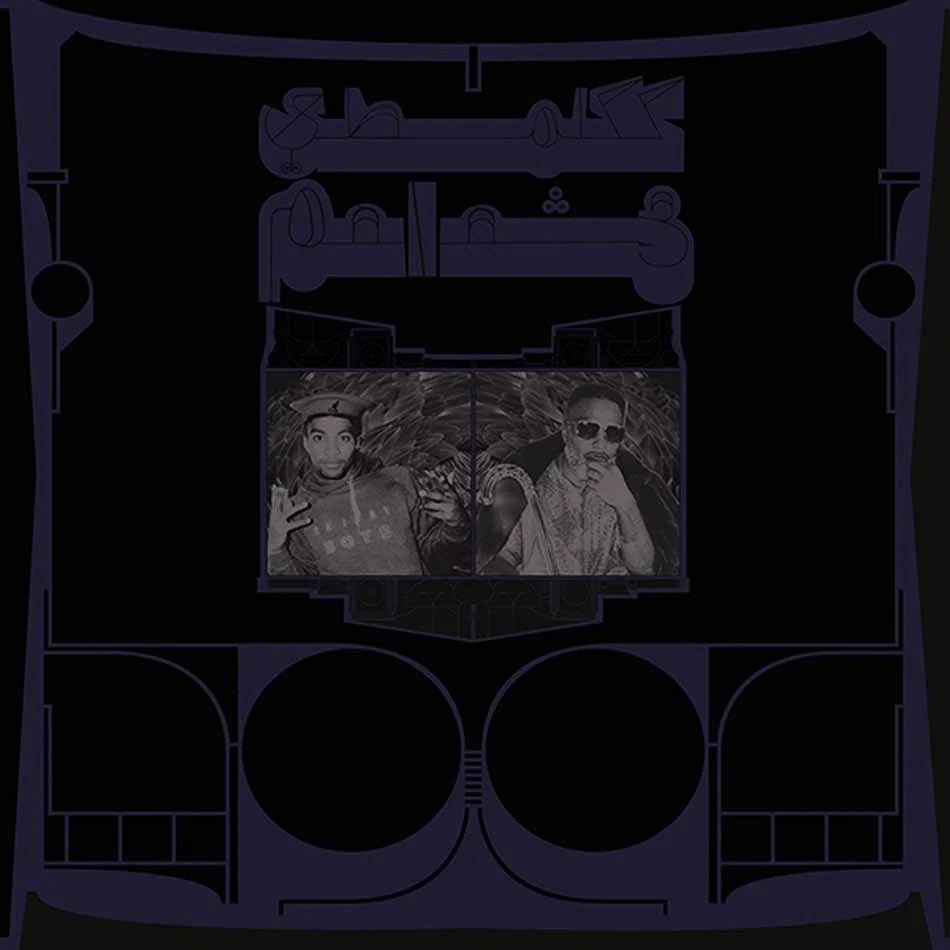 SHABAZZ PALACES - Exotic Birds of Prey (Vinyle)