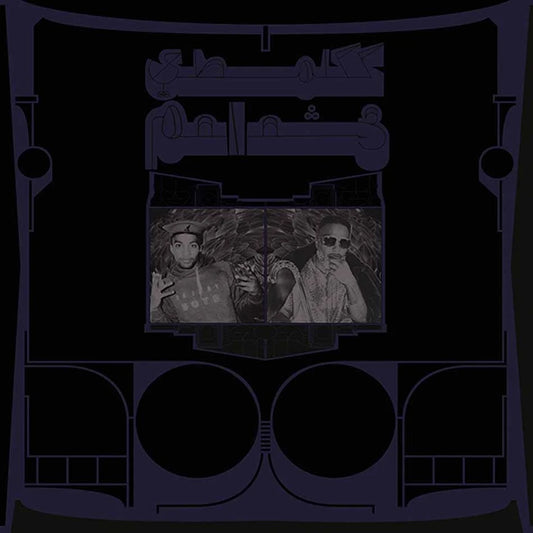 SHABAZZ PALACES - Exotic Birds of Prey (Vinyle)