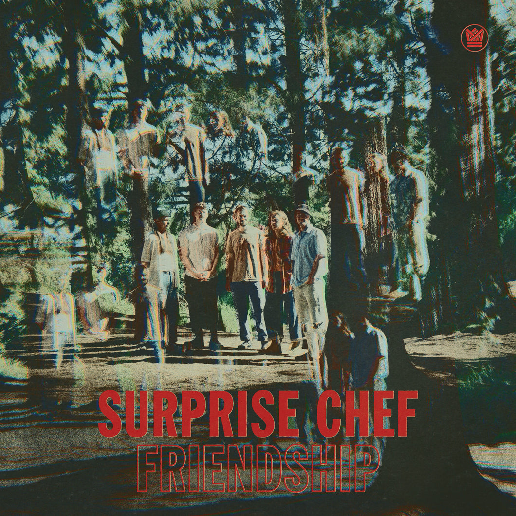 SURPRISE CHEF - Friendship (Vinyle)