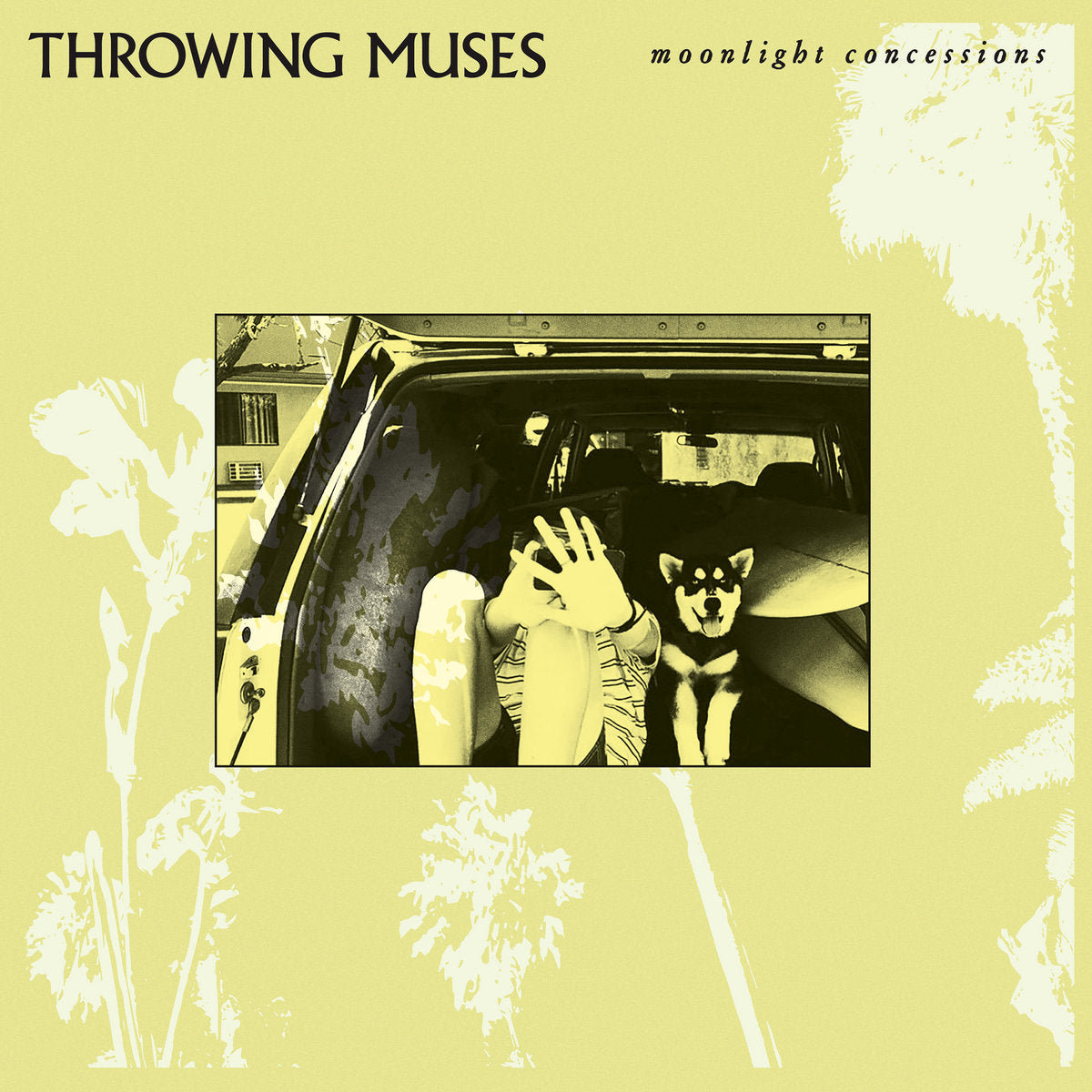 THROWING MUSES - Moonlight Concessions (Vinyle)