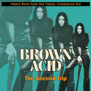 ARTISTES VARIÉS - Brown Acid : The Second Trip (Vinyle)