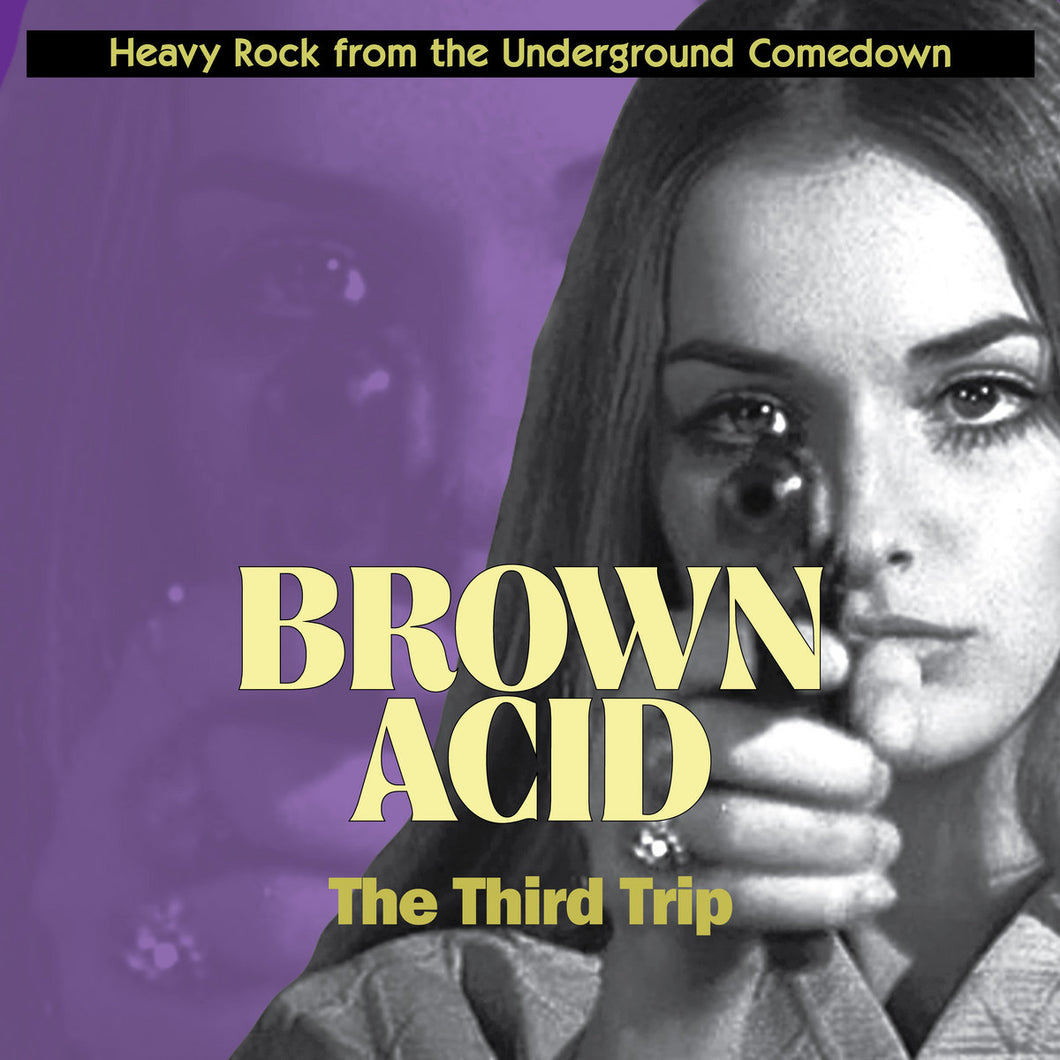 ARTISTES VARIÉS - Brown Acid : The Third Trip (Vinyle)