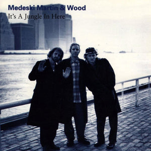 MEDESKI MARTIN & WOOD - It's A Jungle In Here RSD2023 (Vinyle)
