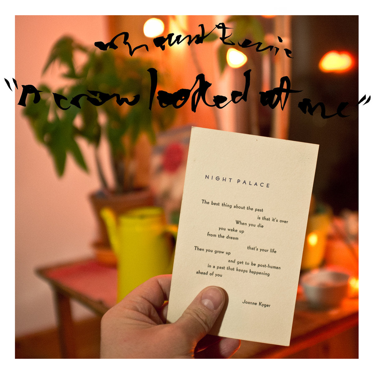 MOUNT EERIE -  A Crow Looked At Me  (Vinyle) - P.W. Elverum & Sun