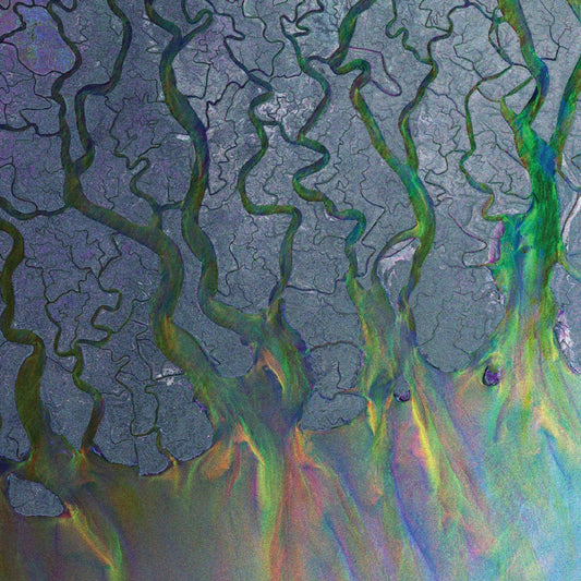 ALT-J - An Awesome Wave (Vinyle)