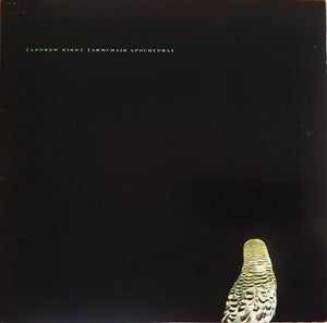 ANDREW BIRD - Armchair Apocrypha (Vinyle)