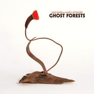 MEG BAIRD & MARY LATTIMORE - Ghost Forests (Vinyle)