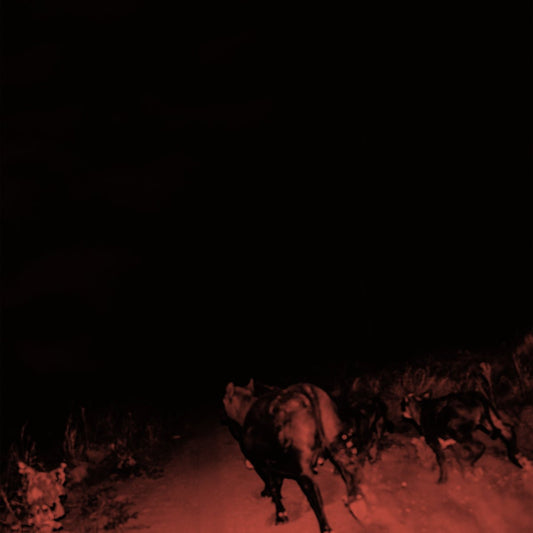 BAMBARA - Shadow On Everything (Vinyle) - Wharf Cat