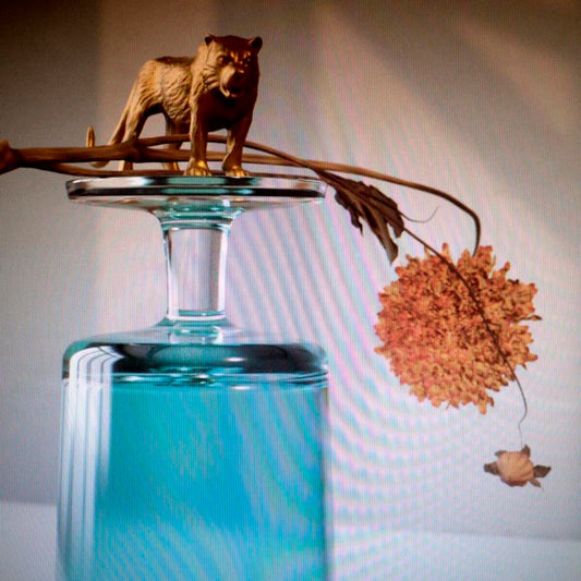 BEIRUT - Gallipoli (Vinyle) - 4AD