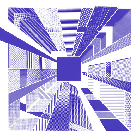 BEN SHEMIE - A Skeleton (Vinyle) - Hands In The Dark
