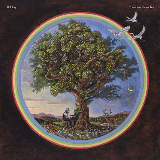 BILL FAY - Countless Branches (Vinyle) - Dead Oceans