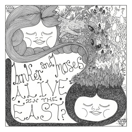 BINKER AND MOSES - Alive In The East? (Vinyle) - Gearbox