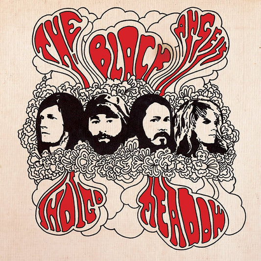 THE BLACK ANGELS - Indigo Meadow (Vinyle)