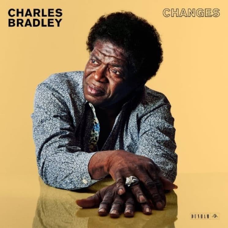 CHARLES BRADLEY - Changes (Vinyle) - Daptone