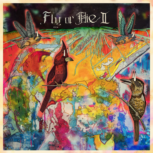 JAIMIE BRANCH - Fly Or Die II: Bird Dogs Of Paradise (Vinyle)