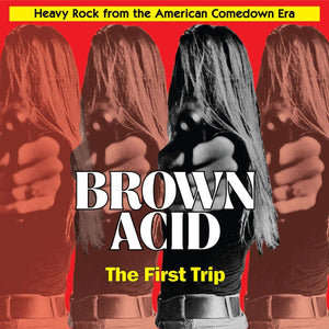 ARTISTES VARIÉS - Brown Acid: The First Trip (Vinyle)