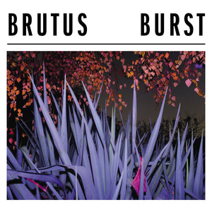 BRUTUS - Burst (Vinyle) - Sargent House