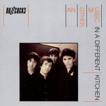 BUZZCOCKS - Another Music In A Different Kitchen (Vinyle) - Domino